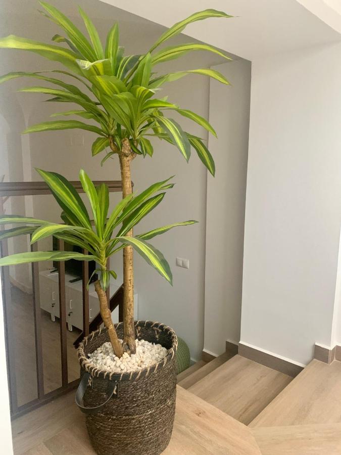 PUERTA DE CACERES Apartamento 2 Esterno foto